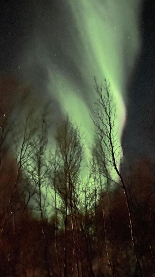 RussenesStor Hytte I Olderfjord别墅 外观 照片